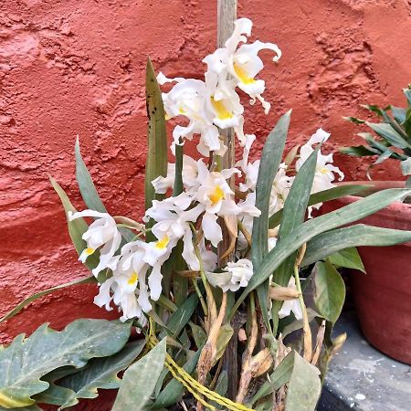 Bhattidanda Fresh & Natural Homestay Dhulikhel Eksteriør bilde