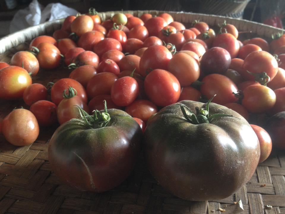 Bhattidanda Fresh & Natural Homestay Dhulikhel Eksteriør bilde