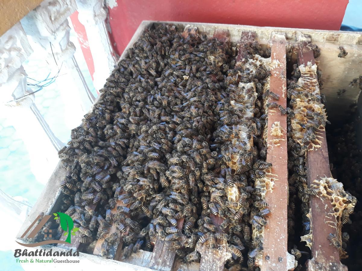 Bhattidanda Fresh & Natural Homestay Dhulikhel Eksteriør bilde